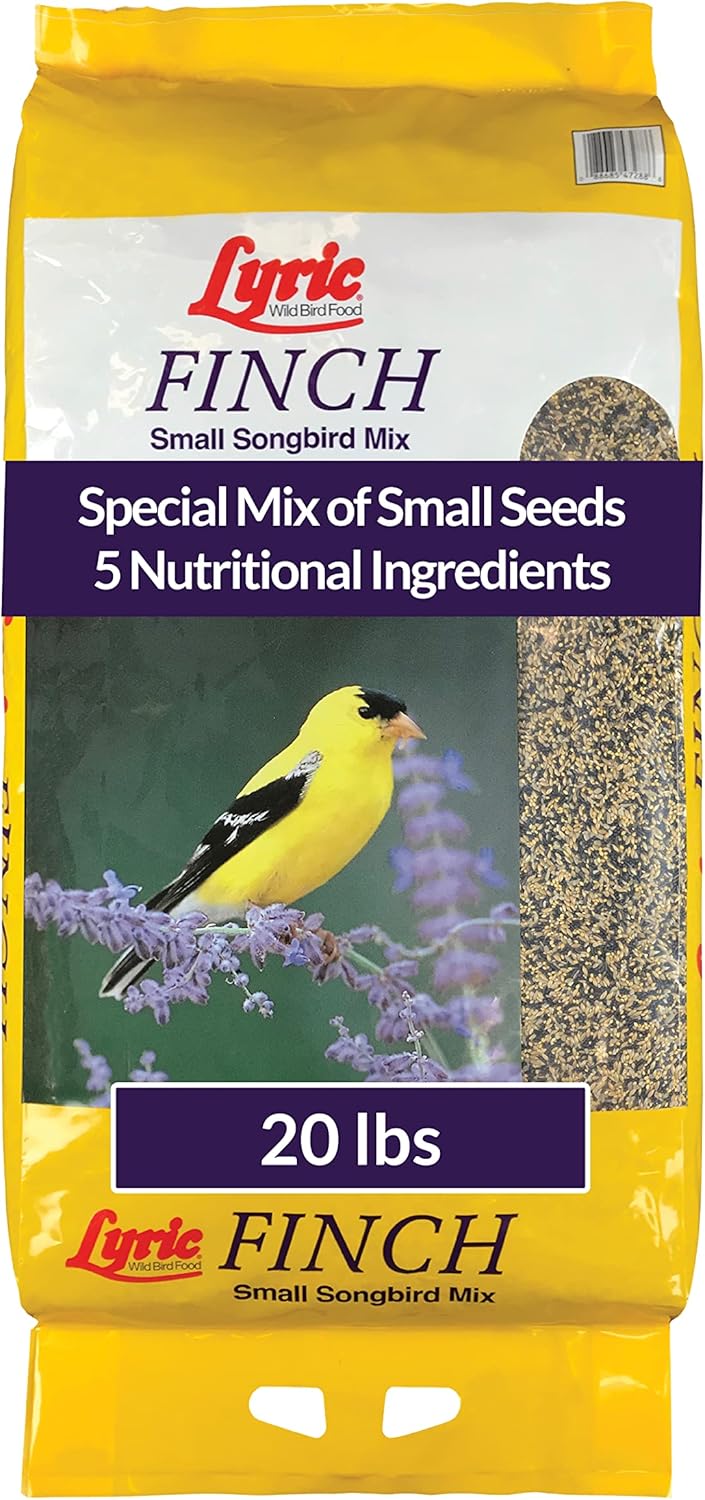 Lyric Finch - Small Songbird Wild Bird Seed - Attracts Goldfinches, House Finches, Purple Finches &