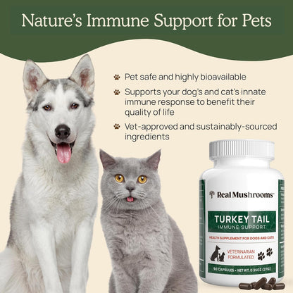 Real Mushrooms Turkey Tail Capsules for Pets –Cat Probiotics & Dog Vitamins – Organic Mushroom