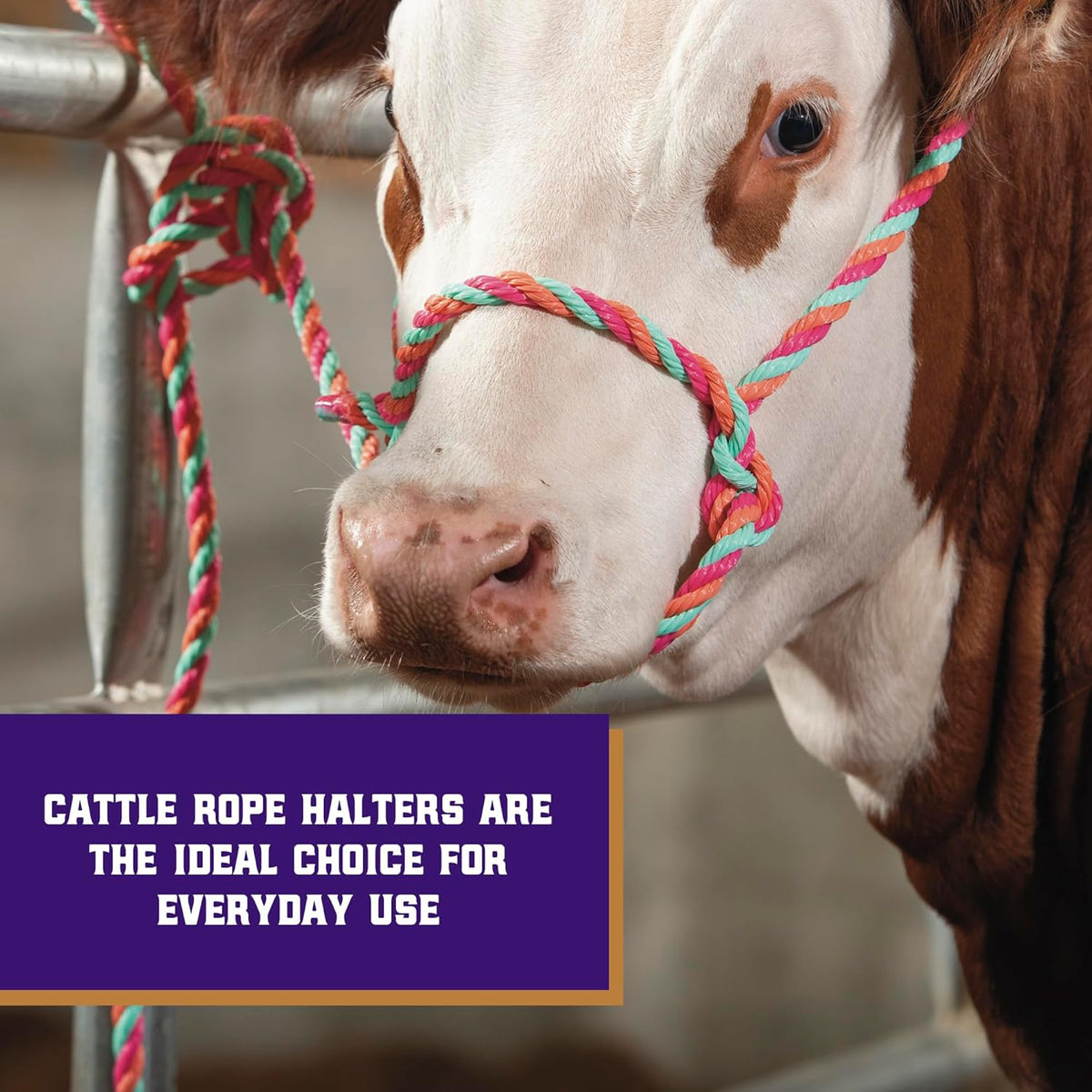 Weaver Livestock Braided Poly Rope Cattle Halter, Adjustable Style Cow Calf Halter, Livestock
