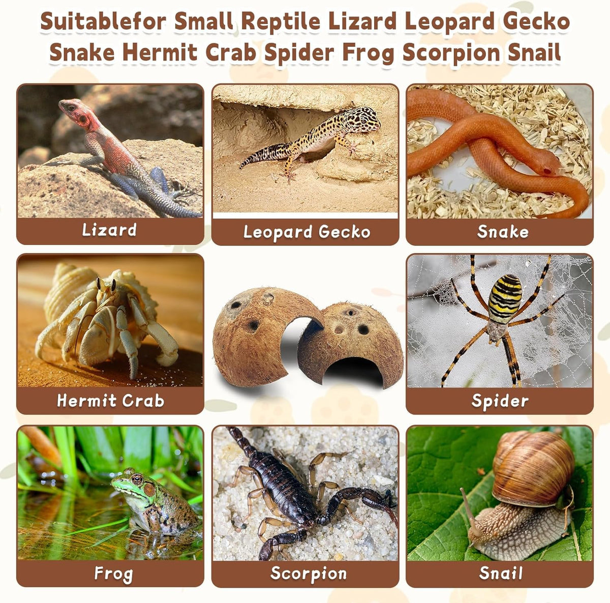 PINVNBY Natural Coconut Reptile Hideouts Lizard, Coco Hut Hermit Crab Hut Aquarium Fish Hide Cave