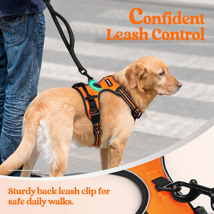 rabbitgoo Dog Harness No Pull with 2 Leash Clips, Adjustable Soft Padded, Reflective Oxford No