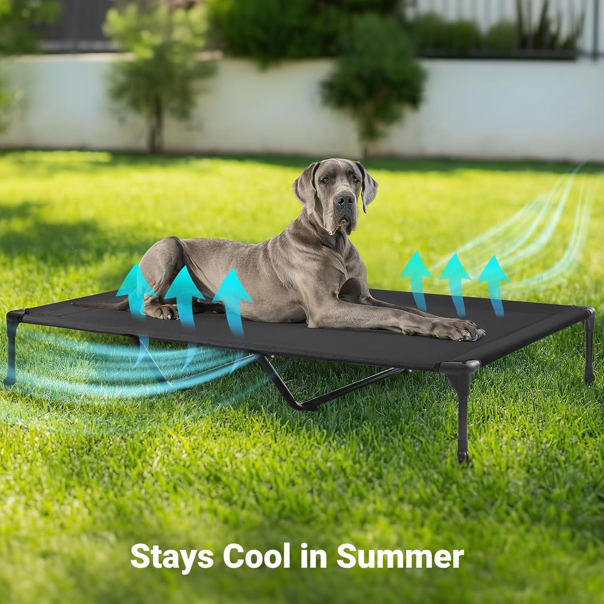 Veehoo Outdoor Elevated Dog Cot Bed-Cooling Raised Pet Bed for XX-Large Dog, Washable Breathable
