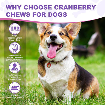 Dog UTI Treatment Cranberry Supplement for Dogs 200 Chews Urinary Tract Medicine Bladder Control