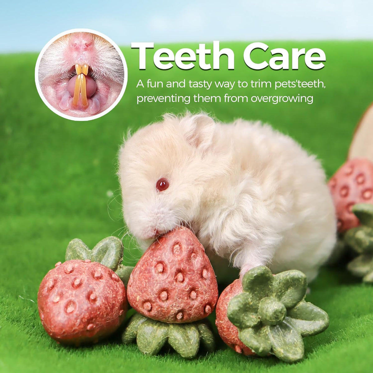 TEEWY 4PCS Hamster Chew Toys, Guinea Pig Chew Toys for Teeth with Natural Vegetables and Timothy