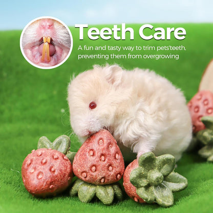 TEEWY 4PCS Hamster Chew Toys, Guinea Pig Chew Toys for Teeth with Natural Vegetables and Timothy