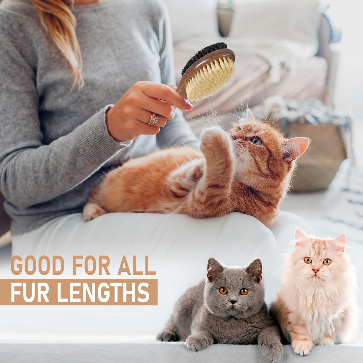 Takavu Double-Sided Boar Bristle Cat Brush - Natural Grooming Tool for Gentle Cleaning, Shine &