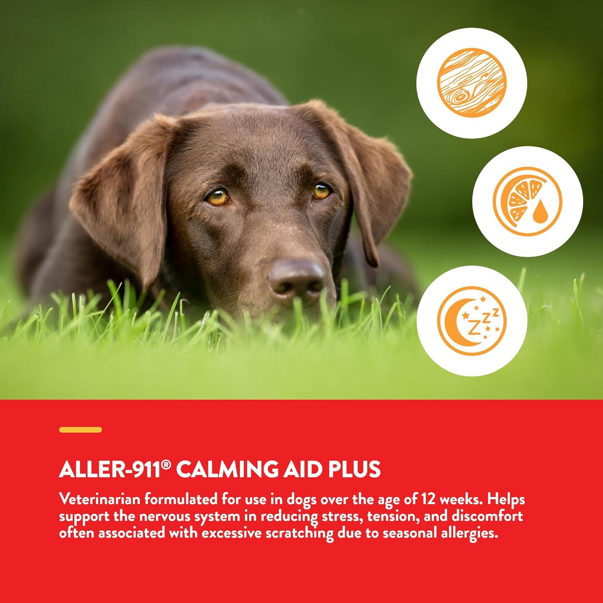 NaturVet Aller-911 Calming Aid & Allergy Aid Dog Supplement – Helps Reduce Stress, Minimize