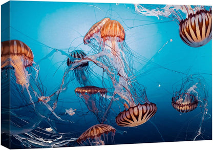 wall26 Canvas Print Wall Art Tiger Stripe Jellyfish Underwater Ocean Sea Nature Animals Photography
