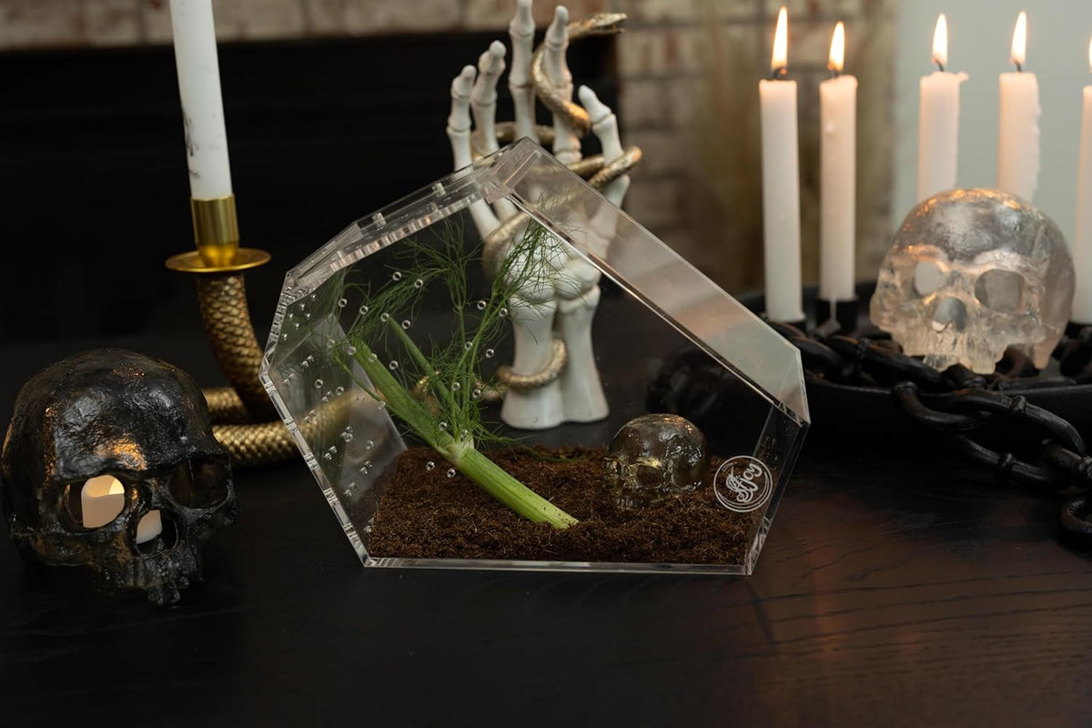 Coffin Shaped Jumping Spider Enclosure 9.5”x7.5”x5” Tarantula Enclosure Reptile Terrarium w/Sliding