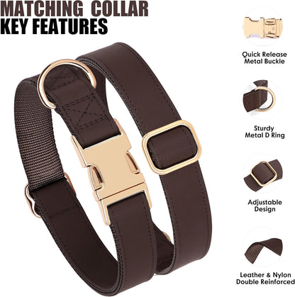 PET ARTIST PU Leather Dog Collar, Bright & Stylish Brown Dog Collar with Quick Release Gold Metal