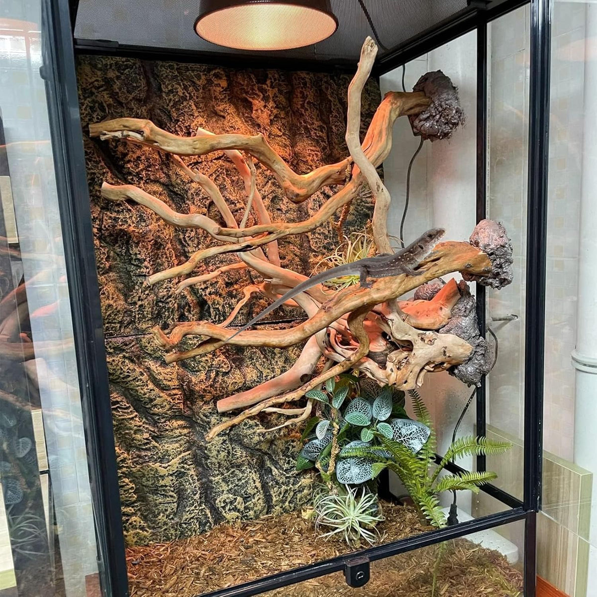 BNOSDM 2PCS Reptile Wood Branches Decor Lizard Habitat Decoration Snake Climbing Branch Accessories
