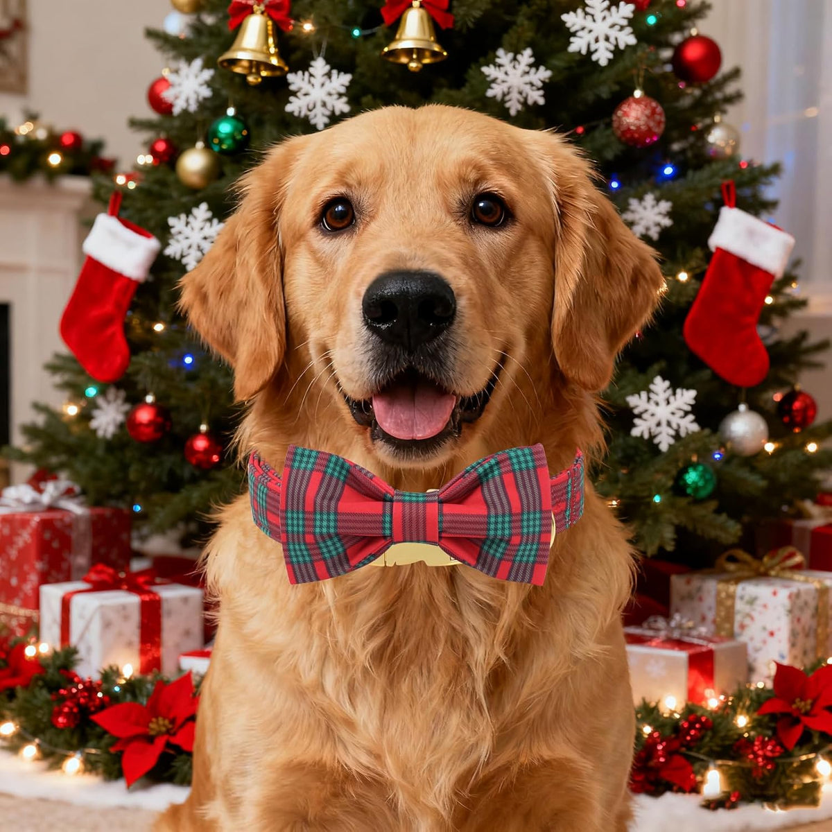 Unique Style Paws Christmas Dog Collar with Bow Red Green Plaid Cotton Puppy Collars for Small