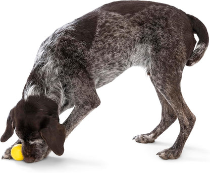 WEST PAW Boundr Ball Dog Fetch Toy – Bouncing Toys for Dogs, Fetch, Catch, Chewing, Play