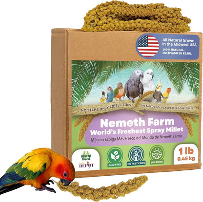 Premium Non-GMO Spray Millet Treat | Hand-Harvested Bird Snack | 100% Edible Tops | Sun-Dried