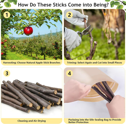 600g Organic Apple Sticks Small Animals Molar Wood Treats Toys for Chinchillas Guinea Pig Rabbits