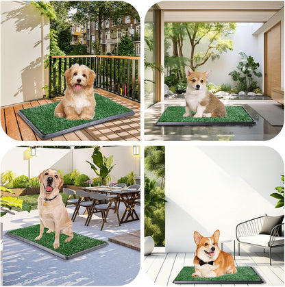 LOOBANI Dog Grass Pad with Tray - Dog Litter Box - Indoor Potty for Apartment and Patio Training