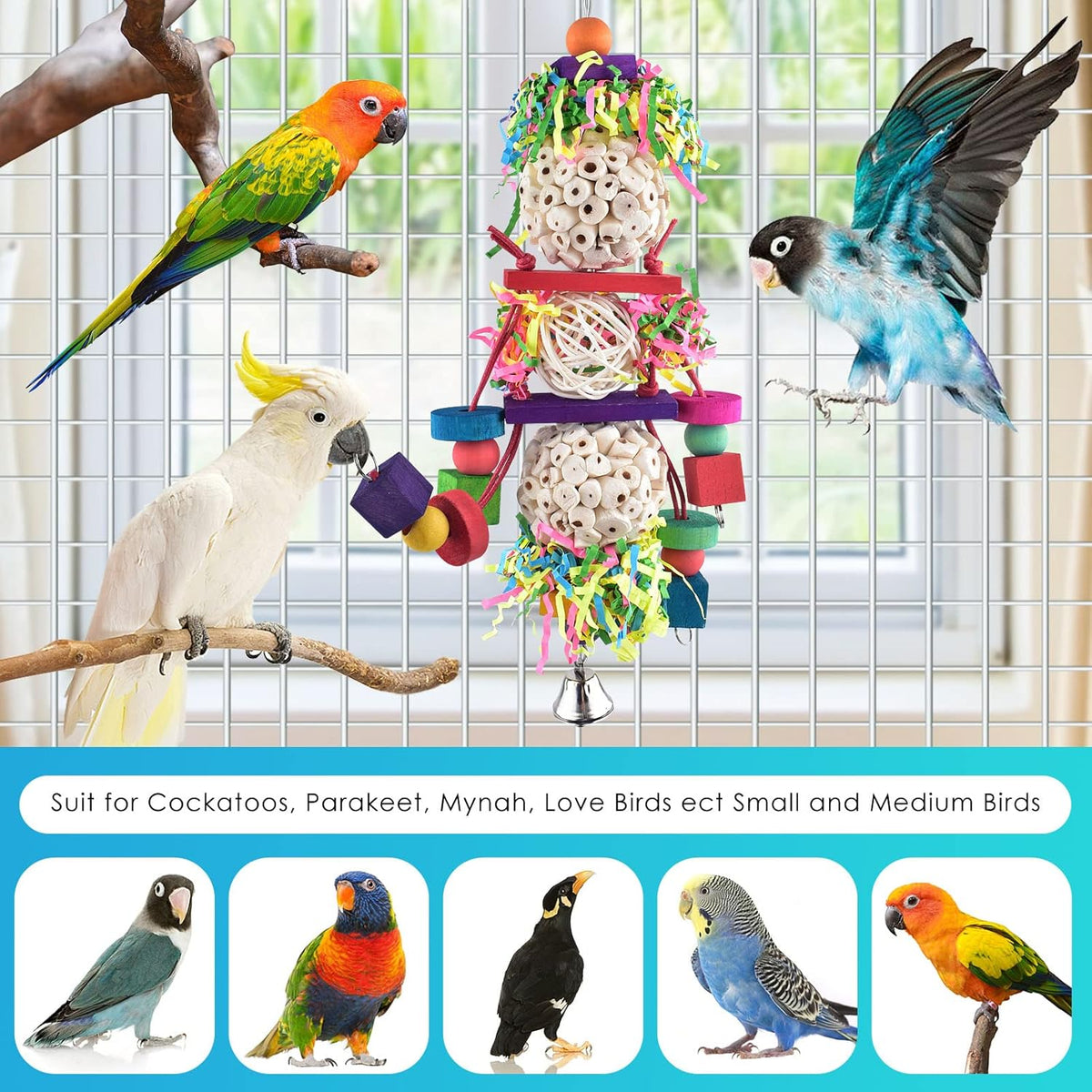 Bissap Conure Toys, Bird Parrot Foraging Shredder Hanging Toys Sola Balls Sepak Takraw with Bell