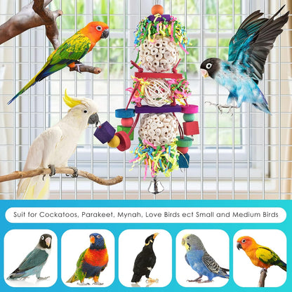 Bissap Conure Toys, Bird Parrot Foraging Shredder Hanging Toys Sola Balls Sepak Takraw with Bell