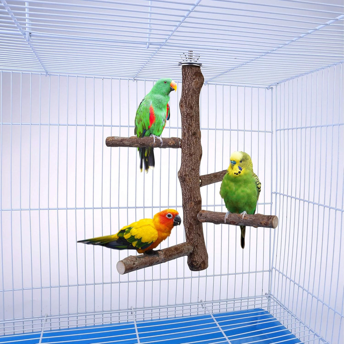 Bird Perch Stand Toy, Natural Wood Parrot Perch Bird Cage Branch Perch Accessories for Parakeets