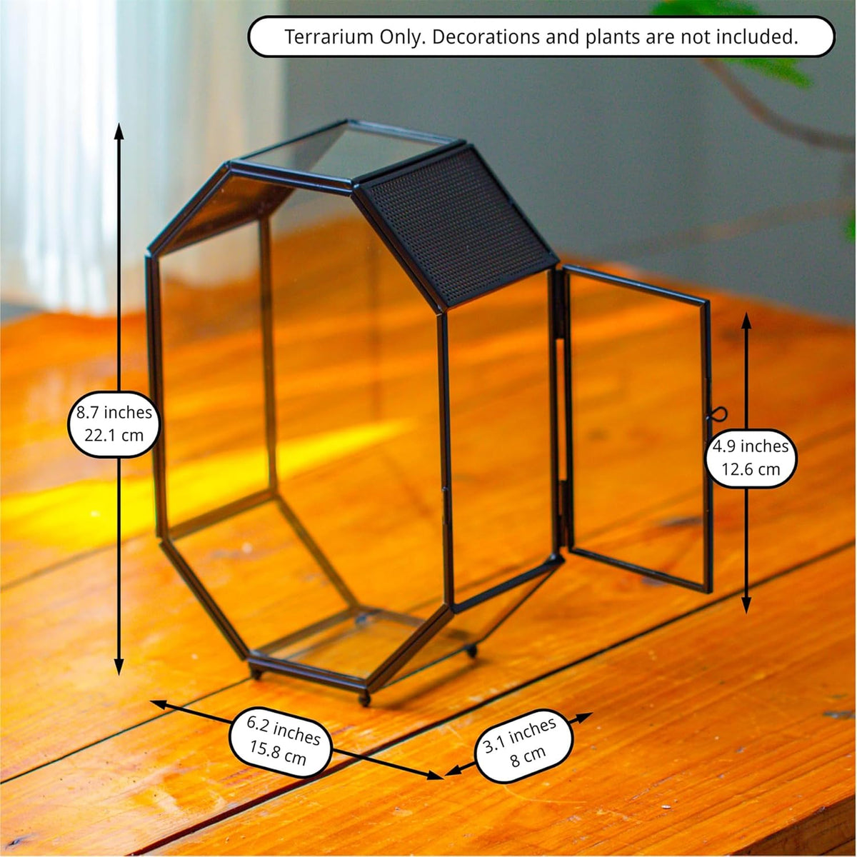 NCYP Glass Enclosure Terrarium with Mesh and Door for Jumping Spiders, Snails, Insects - Octagon