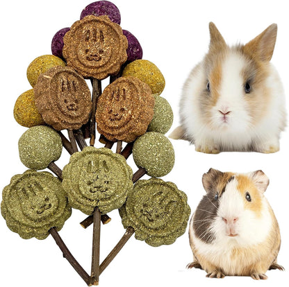 Fhiny Rabbit Chew Toys, 15 PCS Natural Bunny Lollipop Chew Sticks Handmade Guinea Pig Molar Treats