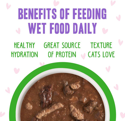 Weruva B.F.F. OMG - Best Feline Friend Oh My Gravy!, Tuna & Lamb Lights Out with Tuna & Lamb, 2.8oz