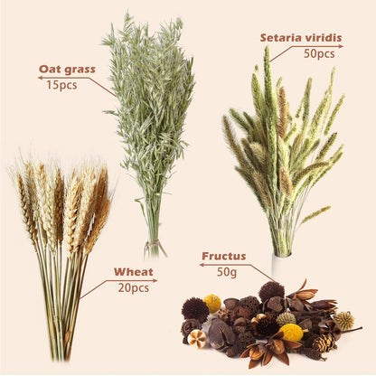Natural Ear of Grain Flower&Herb Bedding Mate Habitat Decor, Adding Fun Hamster Accessories for