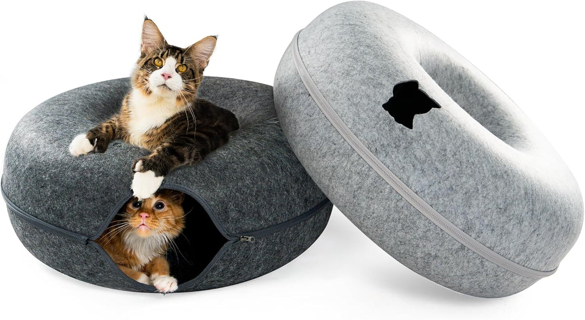 Cattasaurus Peekaboo Cat Cave, Extra Spacious for Multiple & Large Cats 12+ lbs, Scratch Detachable