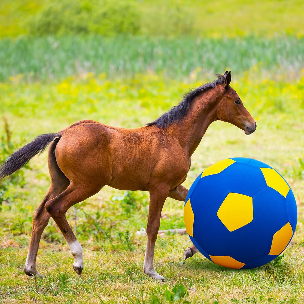 40inch Giant Herding Ball with Ball Cover Anti Burst Please Watch VCR for How to Inflation Horse