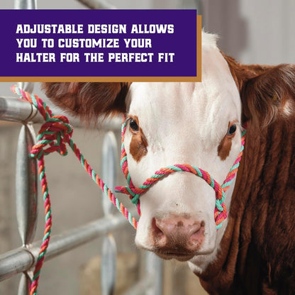 Weaver Livestock Braided Poly Rope Cattle Halter, Adjustable Style Cow Calf Halter, Livestock
