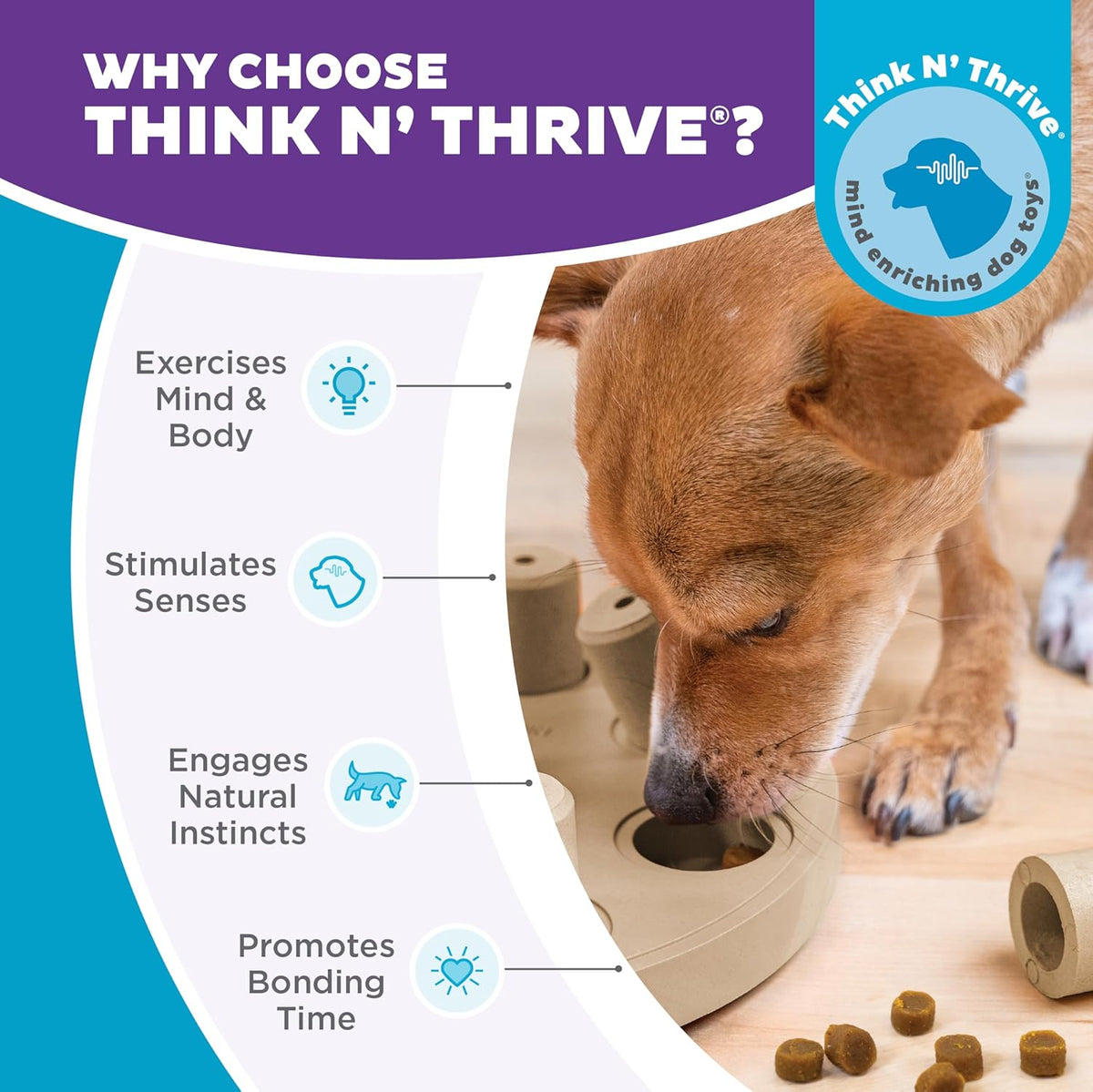 Outward Hound by Nina Ottosson Dog Smart Treat Puzzle Enrichment Toy, Level 1 Beginner, Tan
