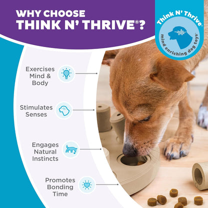 Outward Hound by Nina Ottosson Dog Smart Treat Puzzle Enrichment Toy, Level 1 Beginner, Tan