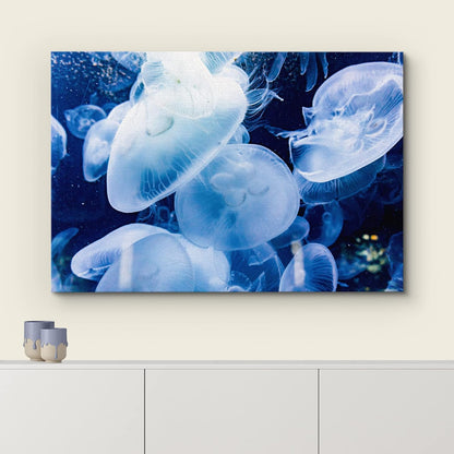 wall26 Canvas Print Wall Art Translucent X-Ray Tropical Ocean Jellyfish Nature Animals Photography