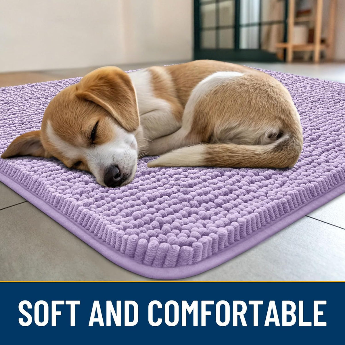Smiry Dog Door Mat for Muddy Paws 30x20, Absorbs Moisture and Dirt Doormat, Non-Slip Washable Quick