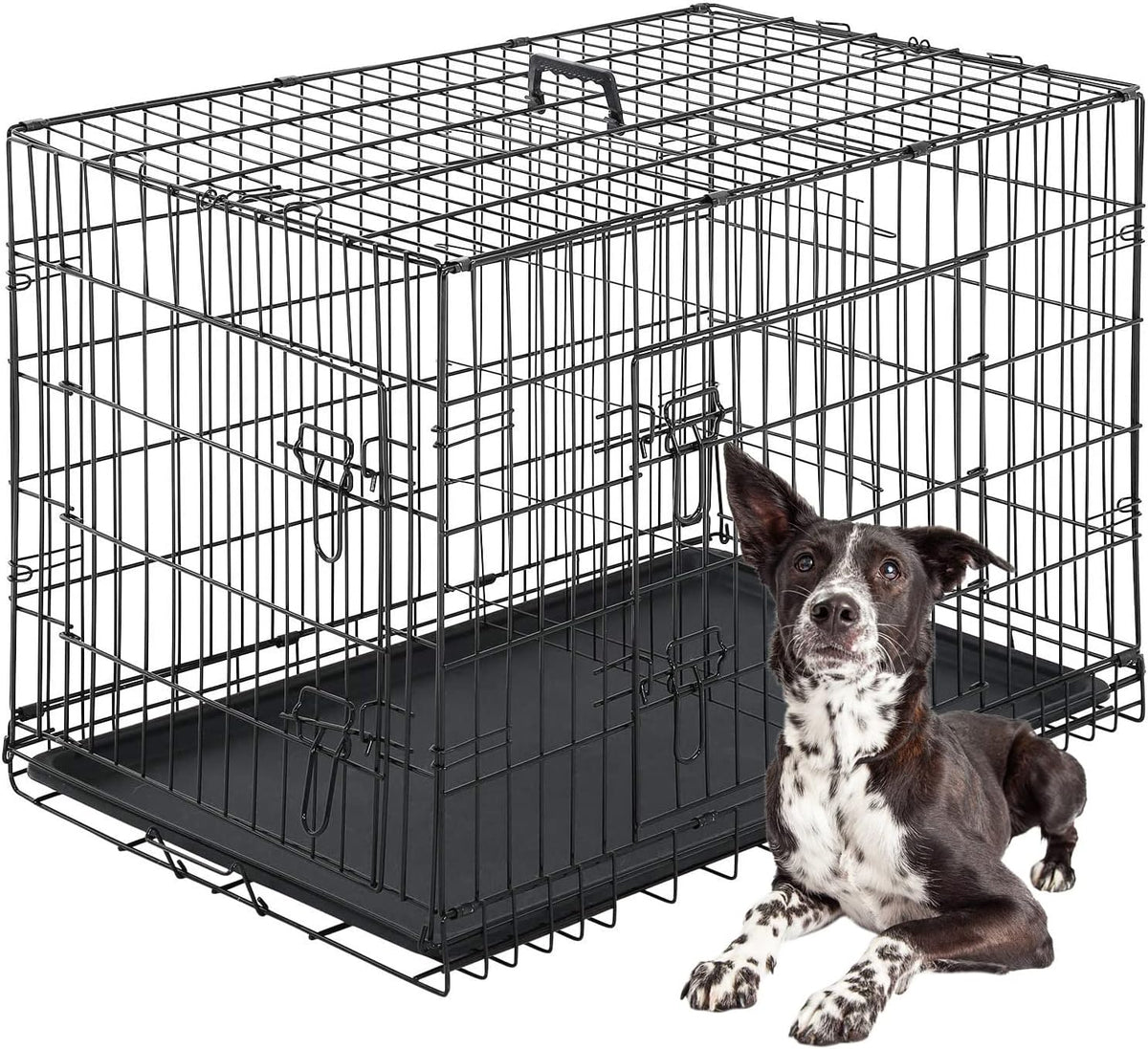 FDW Dog Crate for Large Dogs 42 Inch Folding Metal WirePet Cage Double Door W/Divider Panel Indoor