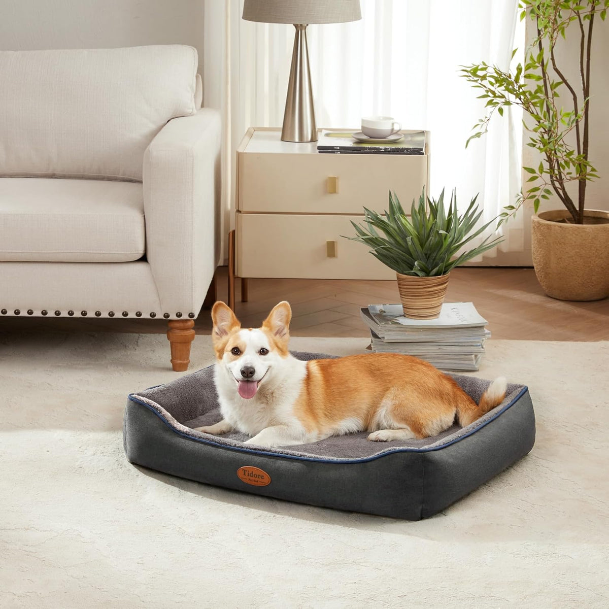 Orthopedic Dog Beds for Medium Dogs, Durable Egg Crate Foam Sofa Dog Bed wit Washable Removable