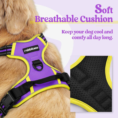 rabbitgoo Dog Harness No Pull with 2 Leash Clips, Adjustable Soft Padded, Reflective Oxford No