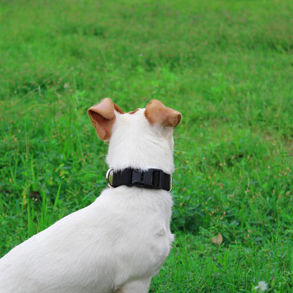 Mikivery Nylon Dog Collar with Quick Release Buckle Soft Adjustable Sturdy for Small Medium Large