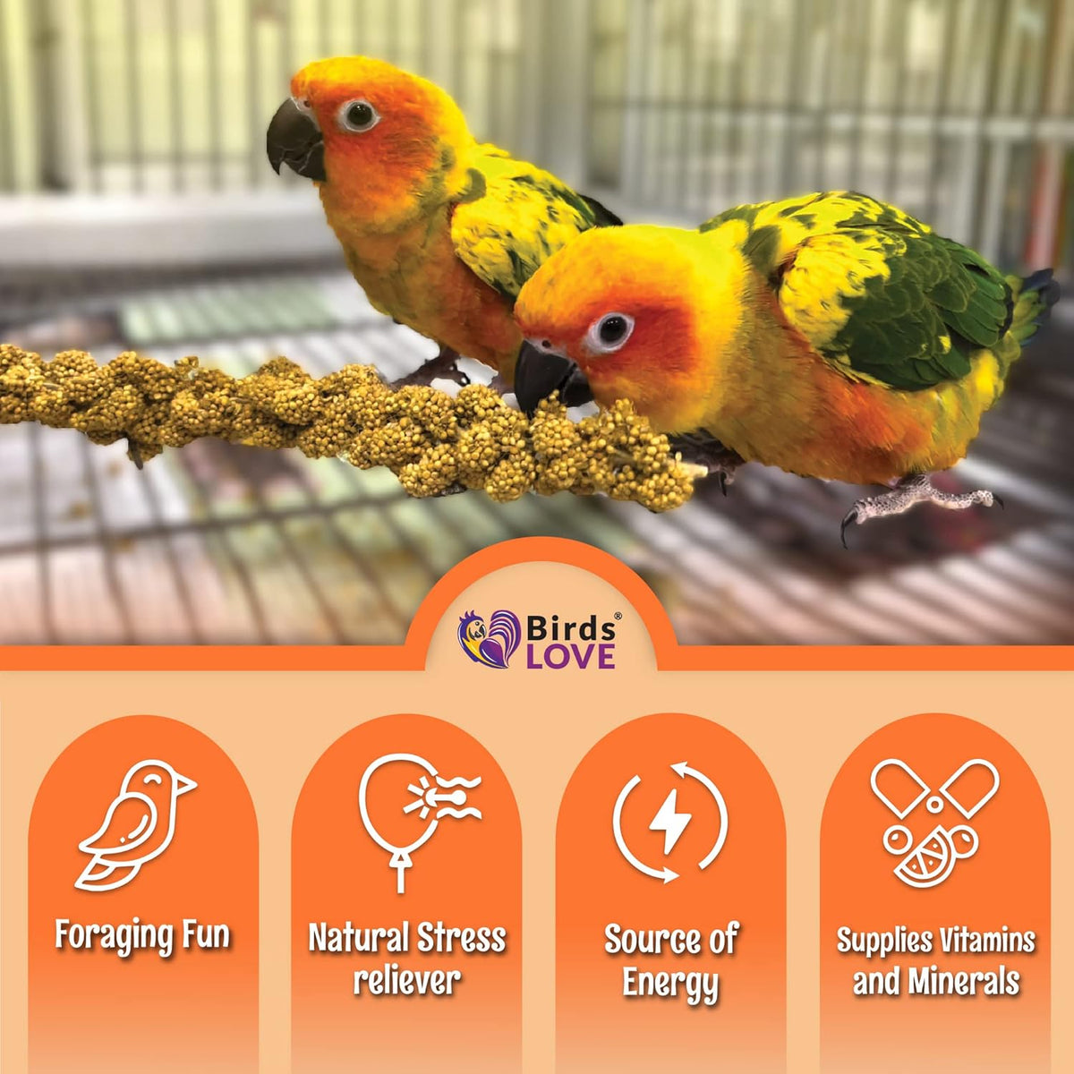 Birds LOVE Wholesome & Lovely Spray Millet Non-GMO (No Stems Only Edible Tops) for Parrots Birds