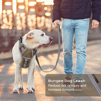 No Pull Dog Harness for Medium Dogs, Adjustable No Choke Pet Vest with Dog Leash Fit Smart