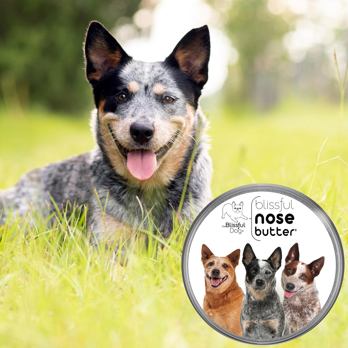 The Blissful Dog Australian Cattle Nose Butter, Versatile Dog Nose Balm for Dry Nose, Handcrafted