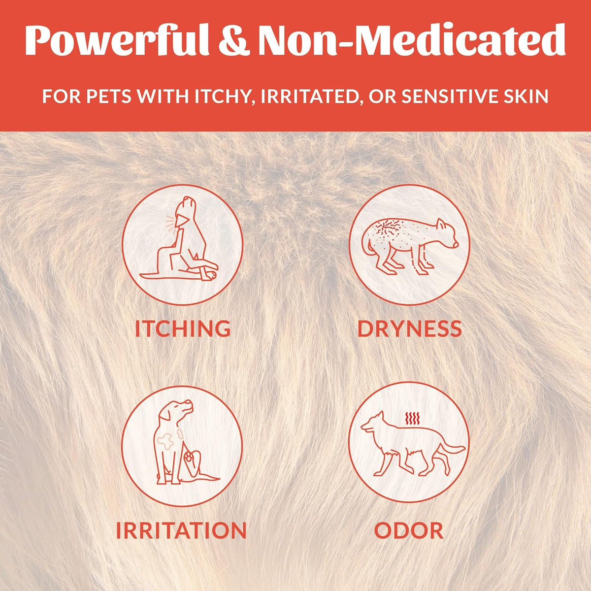 Skout's Honor Probiotic Itch Relief Shampoo for Pets - Non-Medicated, Fragrance-Free, Paraben &