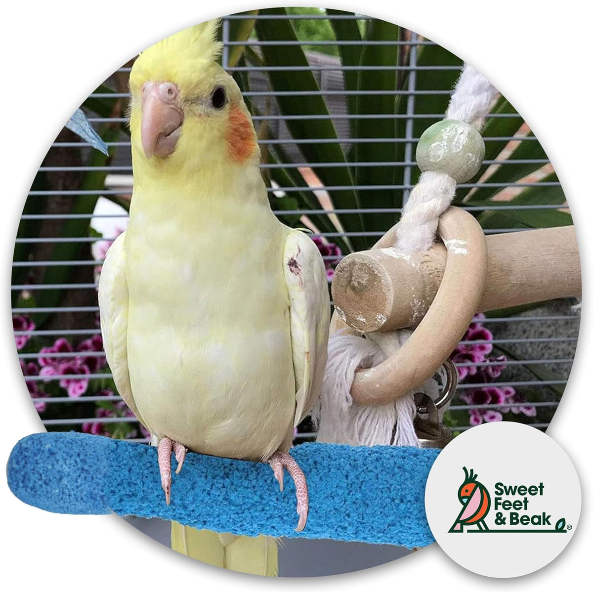 Comfort Grip Safety Perch for Bird Cages - Pedicure Perch for Birds to Keep Nails and Beaks in Top
