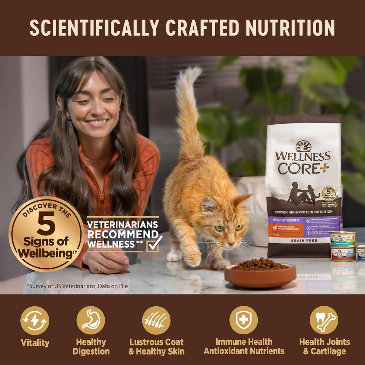 Wellness CORE+ Adult Dry Cat Food for Indoor & Outdoor Cats, Grain Free, Natural, Healthy Weight