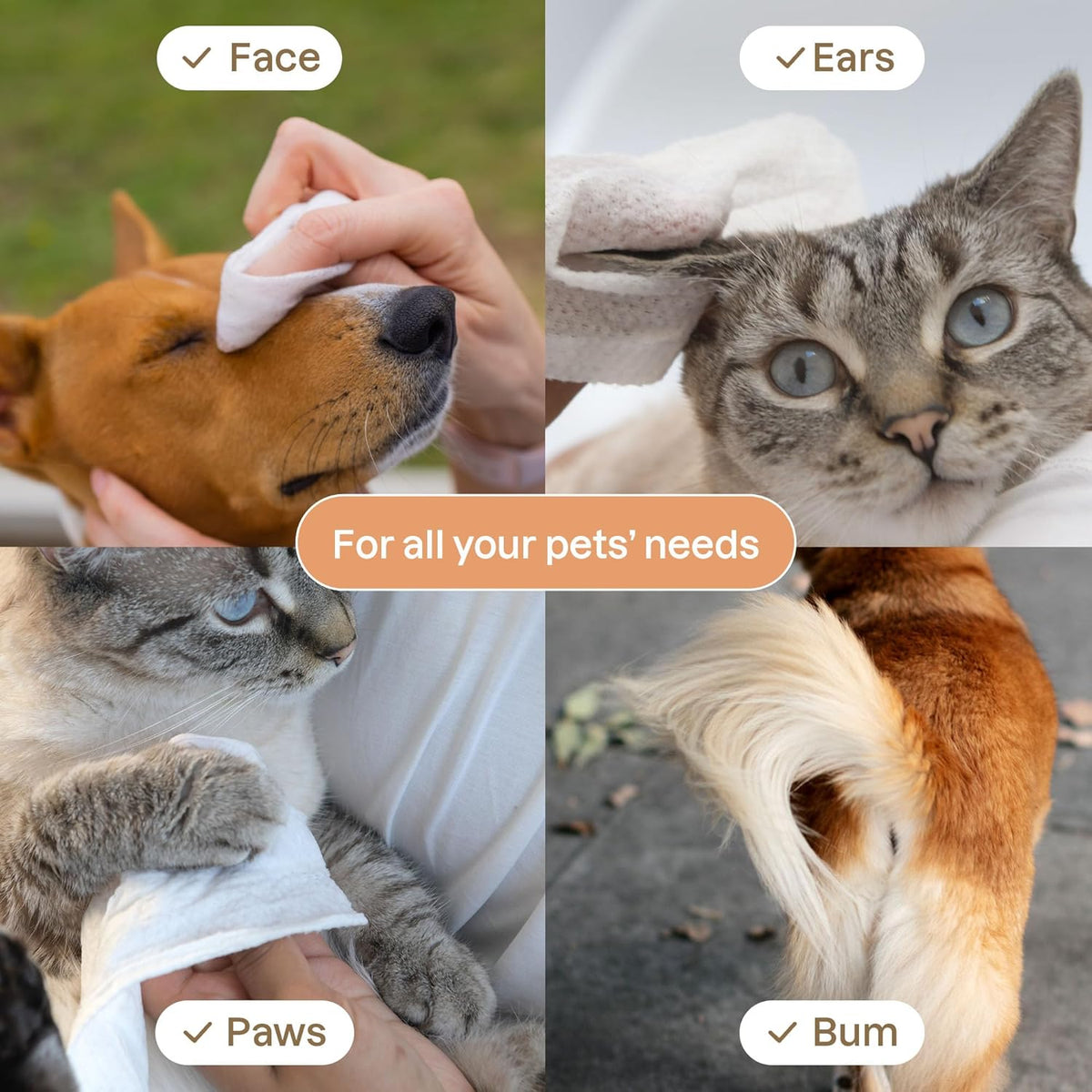 ATTITUDE Pet Wipes for Dogs & Cats, 99% Water, EWG Verified, Gentle & Unscented Cleaning Wipes for