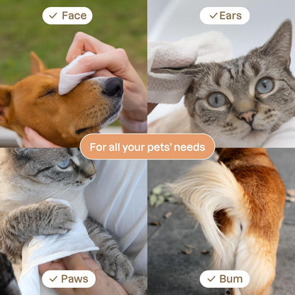 ATTITUDE Pet Wipes for Dogs & Cats, 99% Water, EWG Verified, Gentle & Unscented Cleaning Wipes for