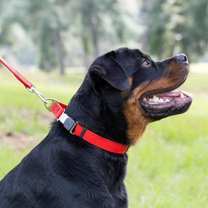 Dogline Biothane Waterproof Dog Collar with Herm Sprenger Stainless Steel Quick Release Buckle