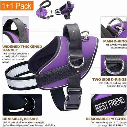 Haapaw Essential Dog Harness, No Pull Pet Vest with 3 Leash Clips, No Choke, Reflective, Adjustable