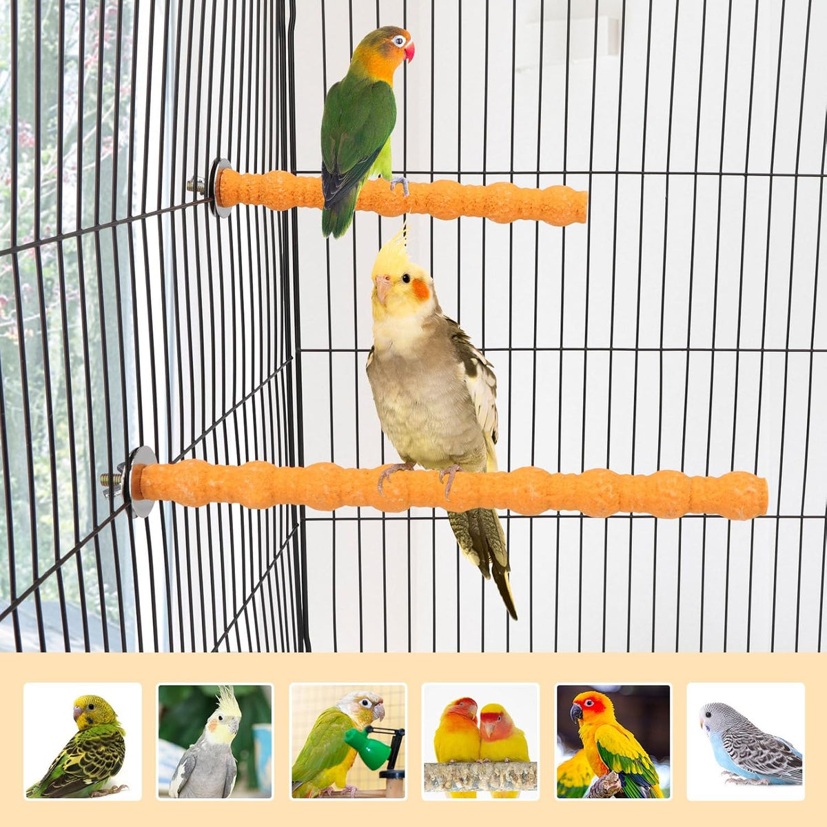 Hypeety 2PCS Wood Perch Stand Paw Grinding Stick Toy Pet Bird Cage Stand Platform for Bird Parrot