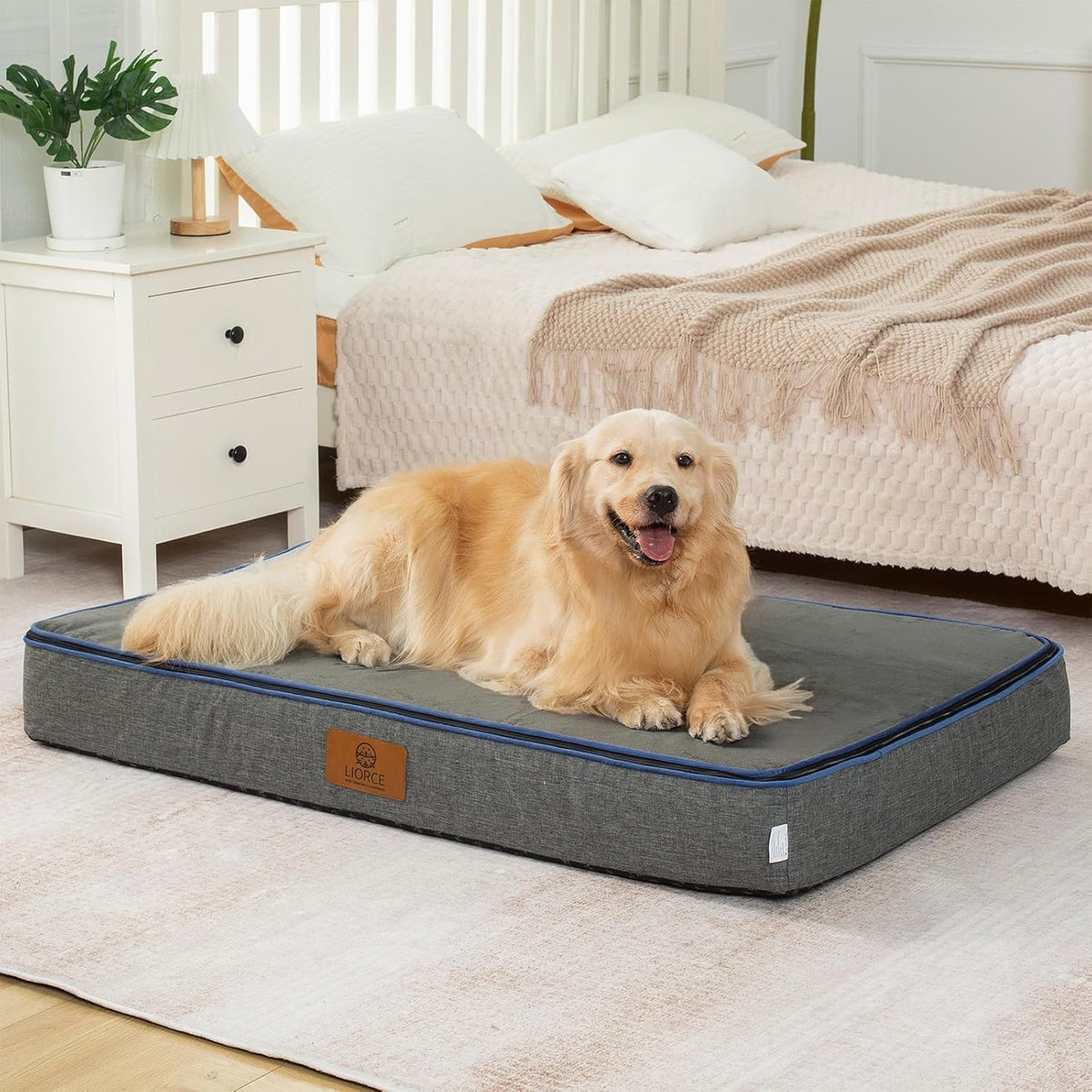 Orthopedic Memory Foam XXL Dog Bed - 6" Thick Beds for Extra Large Sized Dog - Waterproof Removable